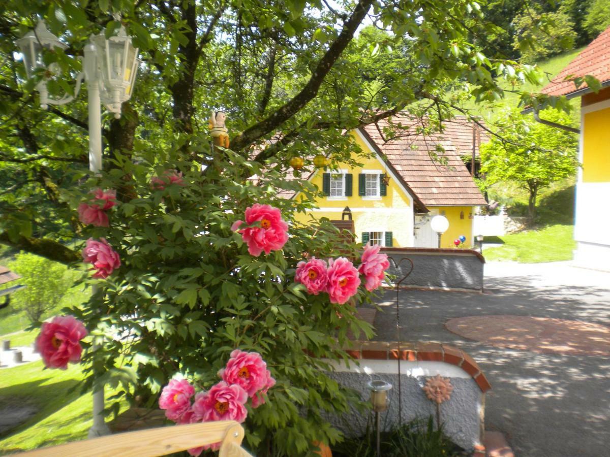 Buchschneider - Ferienhaus Maier - Landhof Schwarzautal Exterior foto